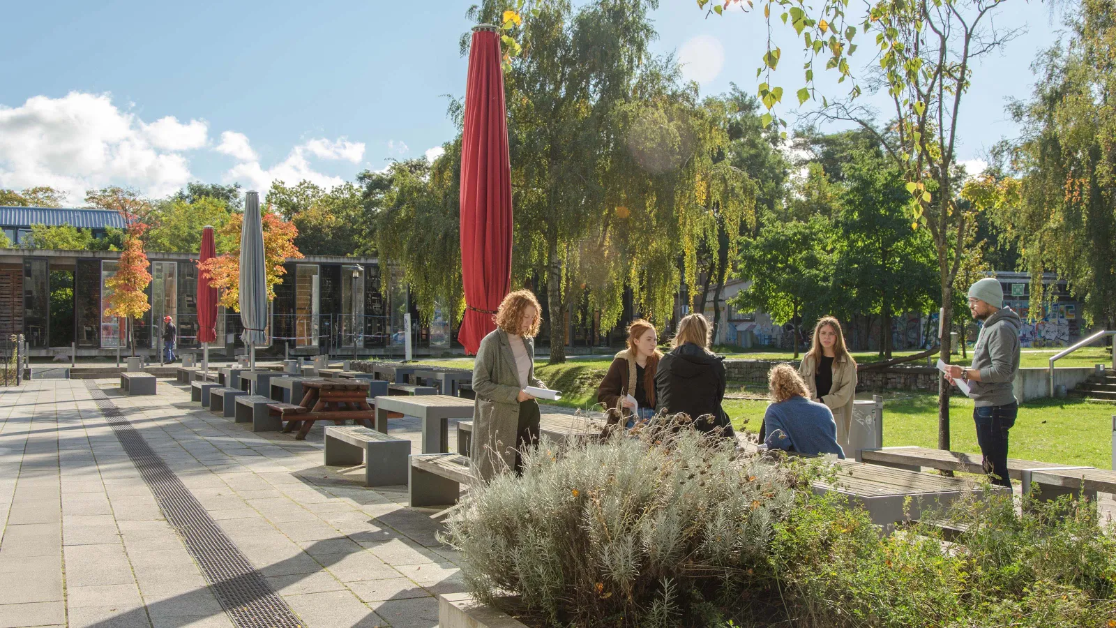 Studierende im Sommer auf dem Campus