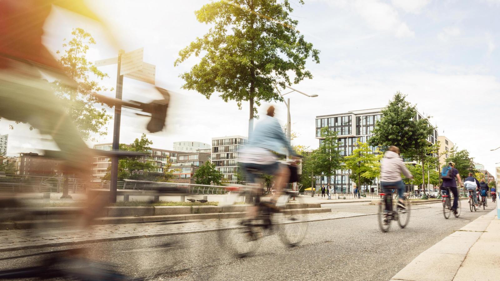 Fahrradfahrende in einer Stadt mit grünen Bäumen und modernen Gebäuden