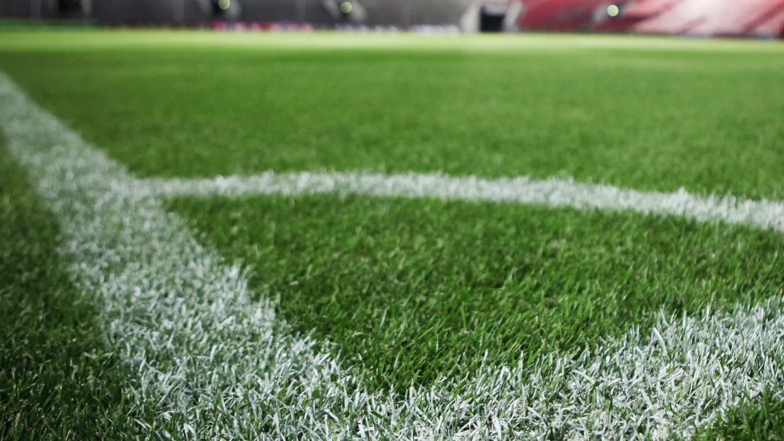 Symbolbild Fußballplatz, Nahaufnahme des Rasens mit weißen Linien