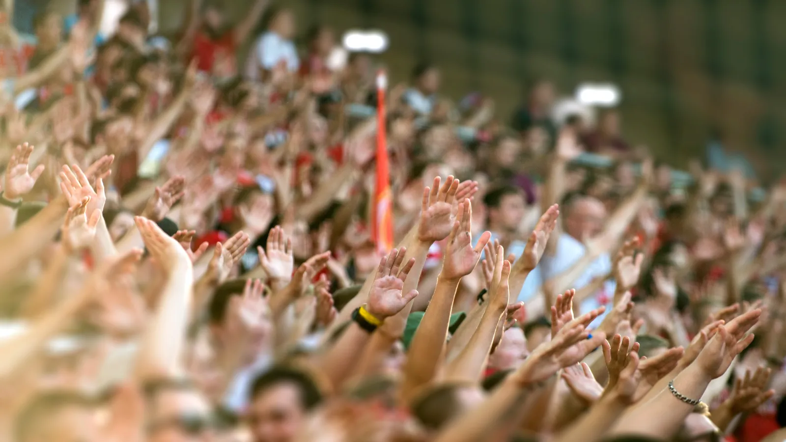 Fans im Stadion, die ihre Mannschaft anfeuern