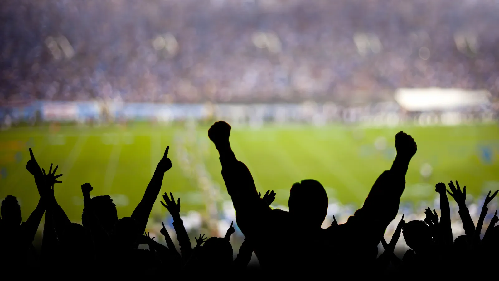 Jubelnde Fußballfans im Stadion