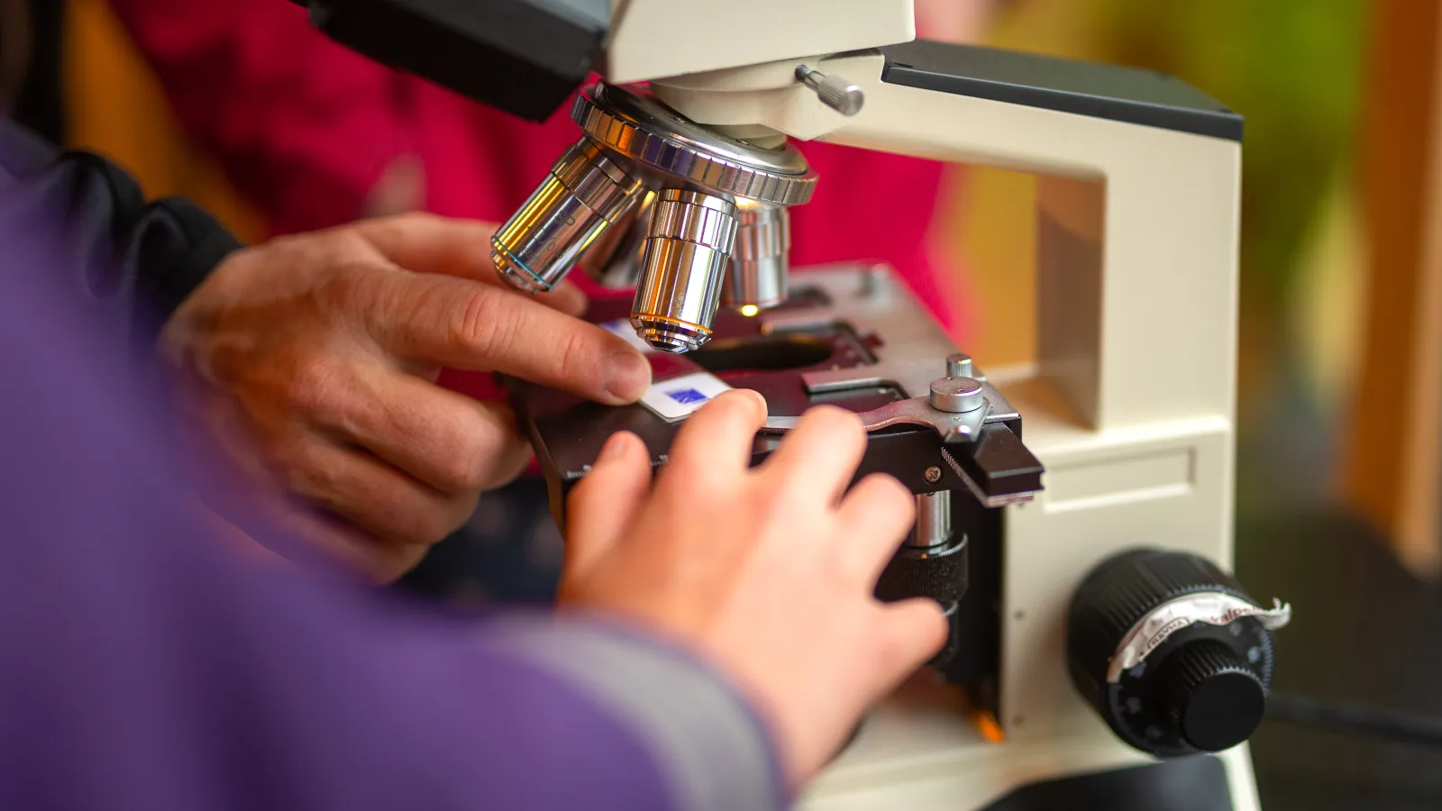 Prof. Dr. Angelika Rauch und Eva Laabs erklären beim Potsdamer Tag der Wissenschaften 2023 am Mikroskop die unterschiedlichen Zellstrukturen von Laub- und Nadelhölzern