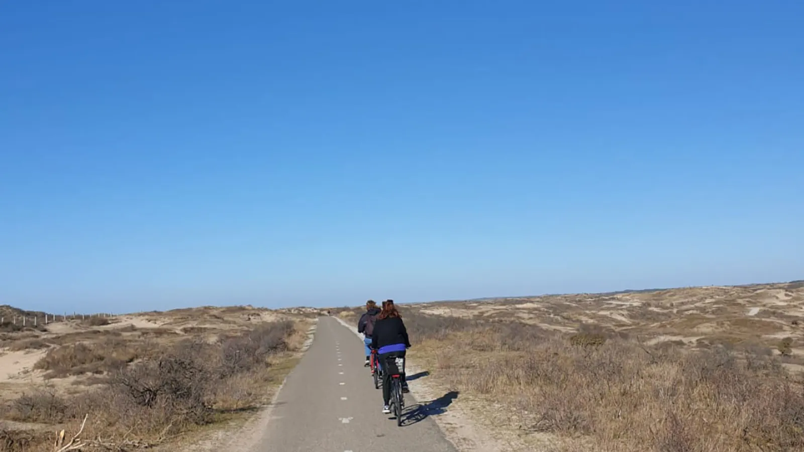 Zwei Menschen sind von hinten zu sehen wie sie eine leere Landstraße lang radeln. Die Straße führt durch Dünen. Der Himmel ist total Blau.