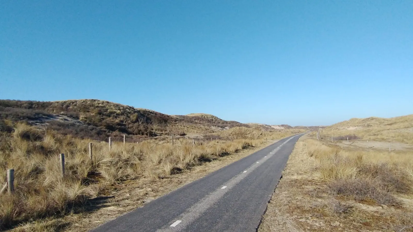 Ein leerer Radweg führt aus dem Bild hinaus. Zur linken und rechten Seite des Weges sind Dünen. Der Himmel ist ganz blau.