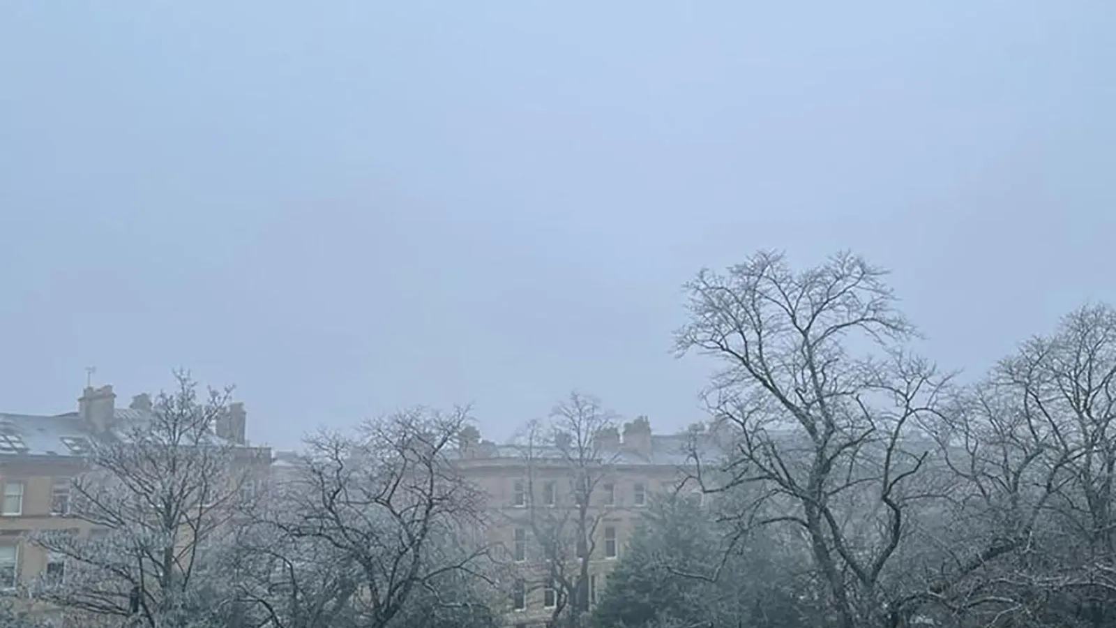 Ausblick aus dem Arbeitsbüro des Goethe-Institut Glasgows auf eine Grasfläche und Bäume unter grauem Himmel und Nebel.