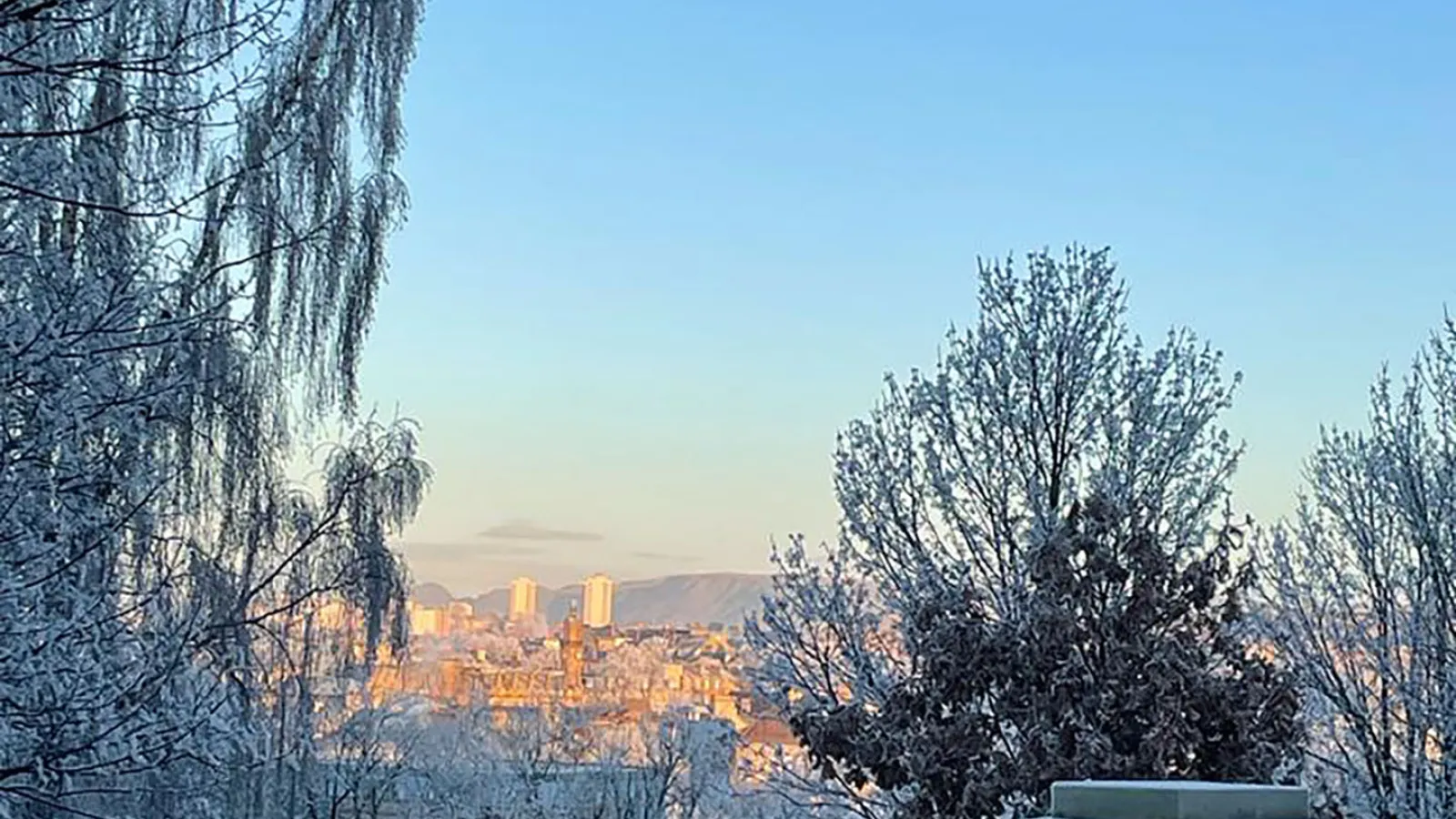 Über eine Steinmauer und an zwei verschneiten Bäumen vorbei ist der Sonnenaufgang über Kelvingrove Park und des West-Ends von Glasgow zu sehen. Der Himmel ist komplett blau.