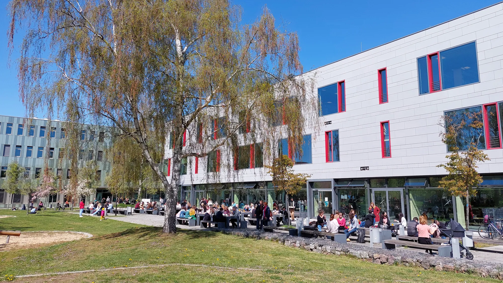 Studierende sitzen vor der Mensa in der Sonne