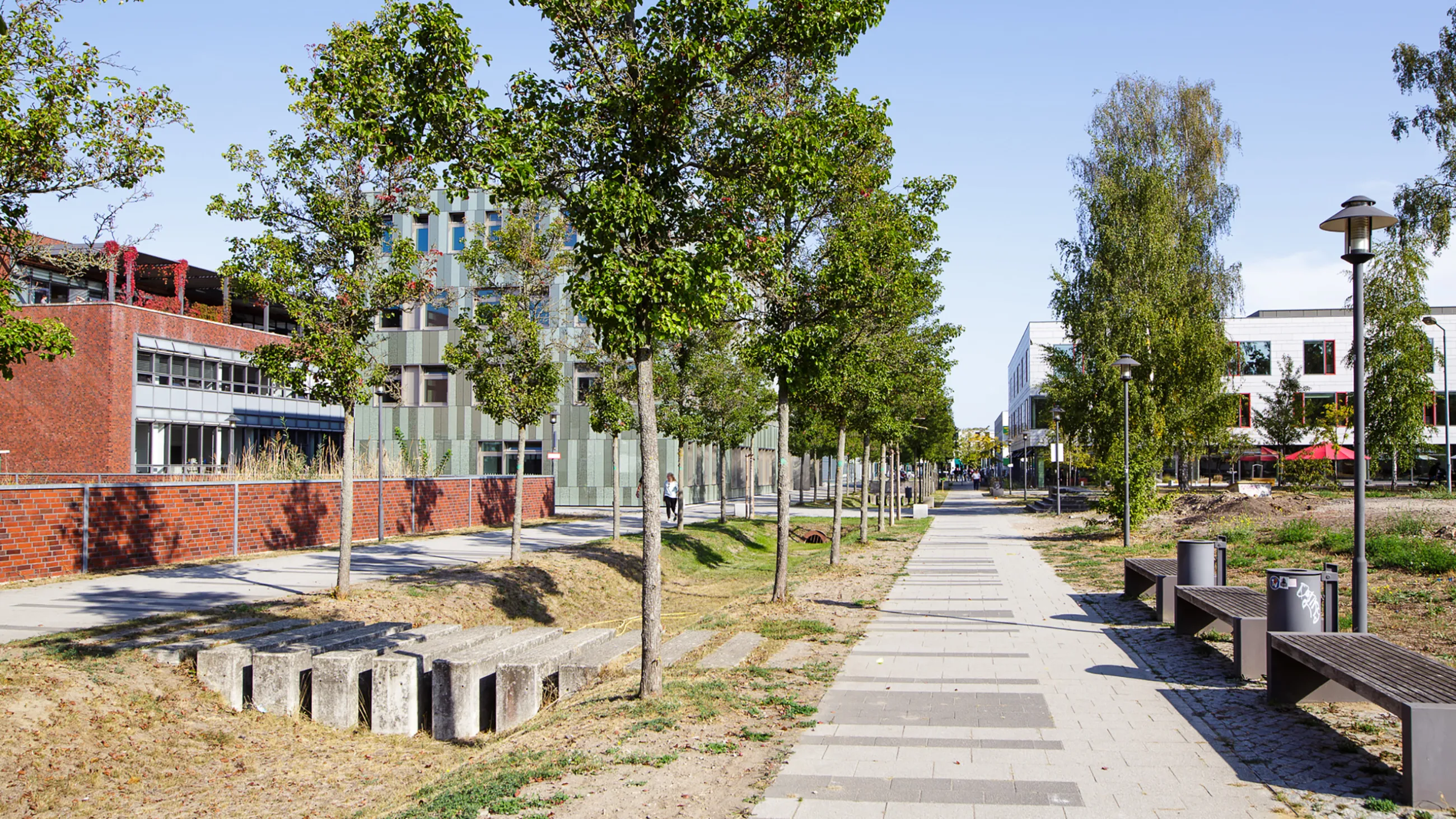 Der Campus im Sommer